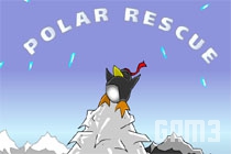 Flash  Polar rescue